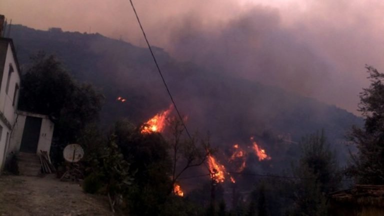 Qui est derrière les derniers départs simultanés de plusieurs feux de forêts en Kabylie ?