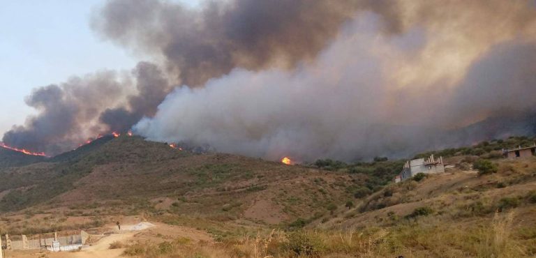 Au moins huit (08) nouvelles localités victimes d’incendies dans l’Est de la Kabylie