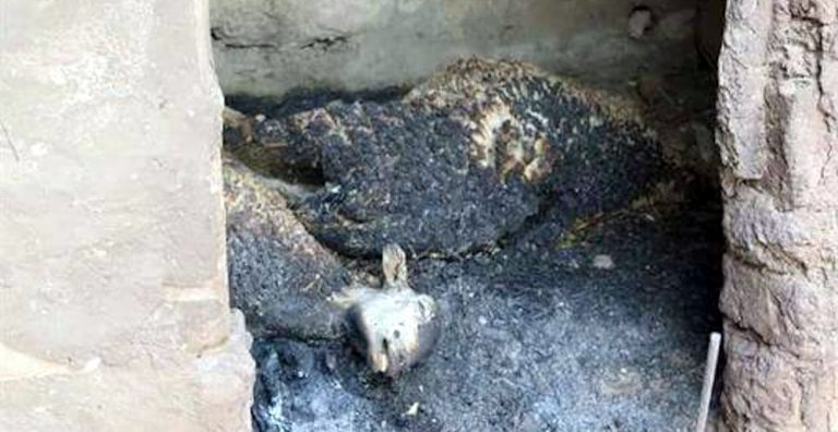 Incendies : nuit d’enfer à Maâlla et à Tigzirt