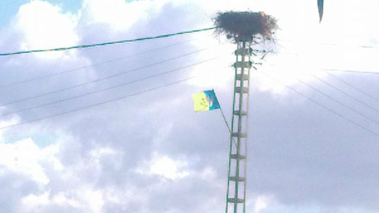 Lever de drapeau kabyle au village Colonel Amirouche