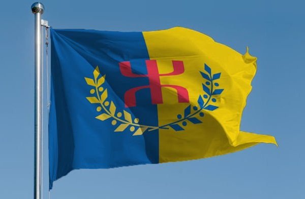 Campagne de financement pour la préparation du 20 avril 2019 en Kabylie
