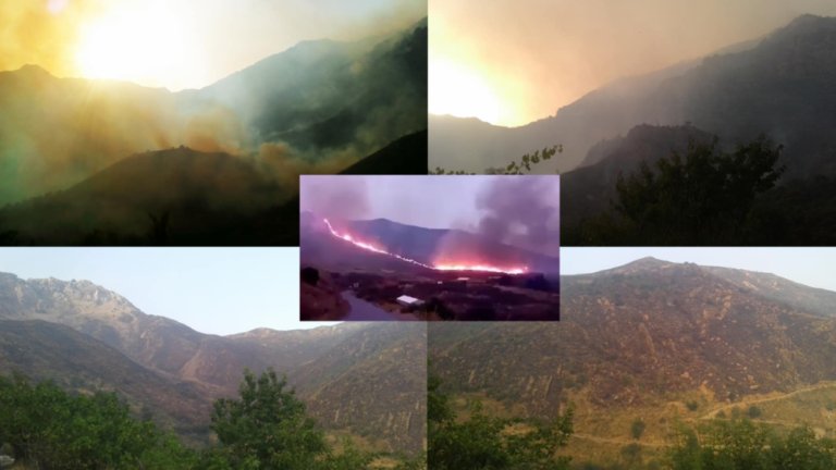 Le massif du Djurdjura en danger : Gigantesque brasier dans les montagnes d’Iwaquren