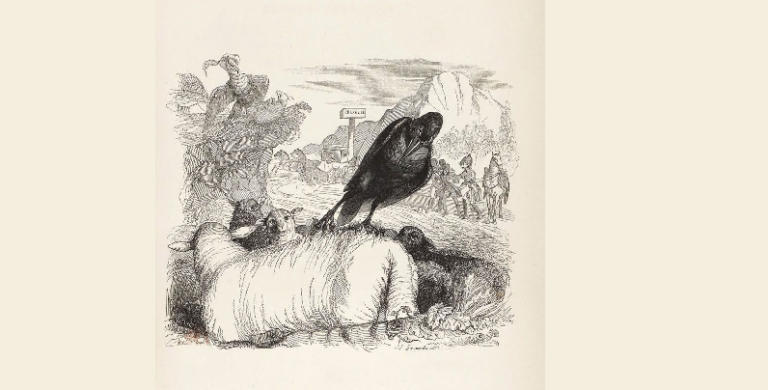 LA FABLE DU CORBEAU, DU ROSSIGNOL ET DU COCHON