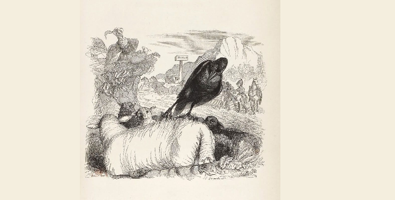 LA FABLE DU CORBEAU, DU ROSSIGNOL ET DU COCHON