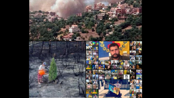 LES GRAINES DE VIE EN KABYLIE