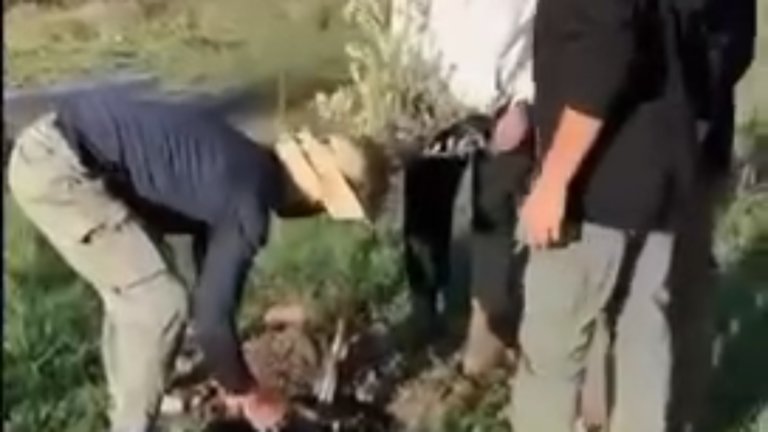 Golan : un olivier pour sceller l’amitié entre la Kabylie et Israel