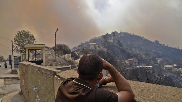 La Kabylie sous le joug du régime algérien : Autopsie d’une oppression systémique (Contribution)