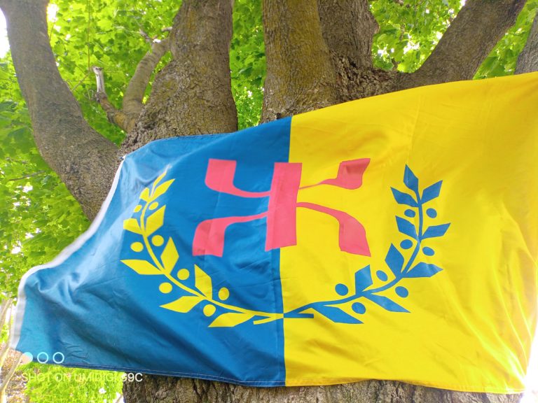 La Kabylie libre ou rien ! (Contribution)