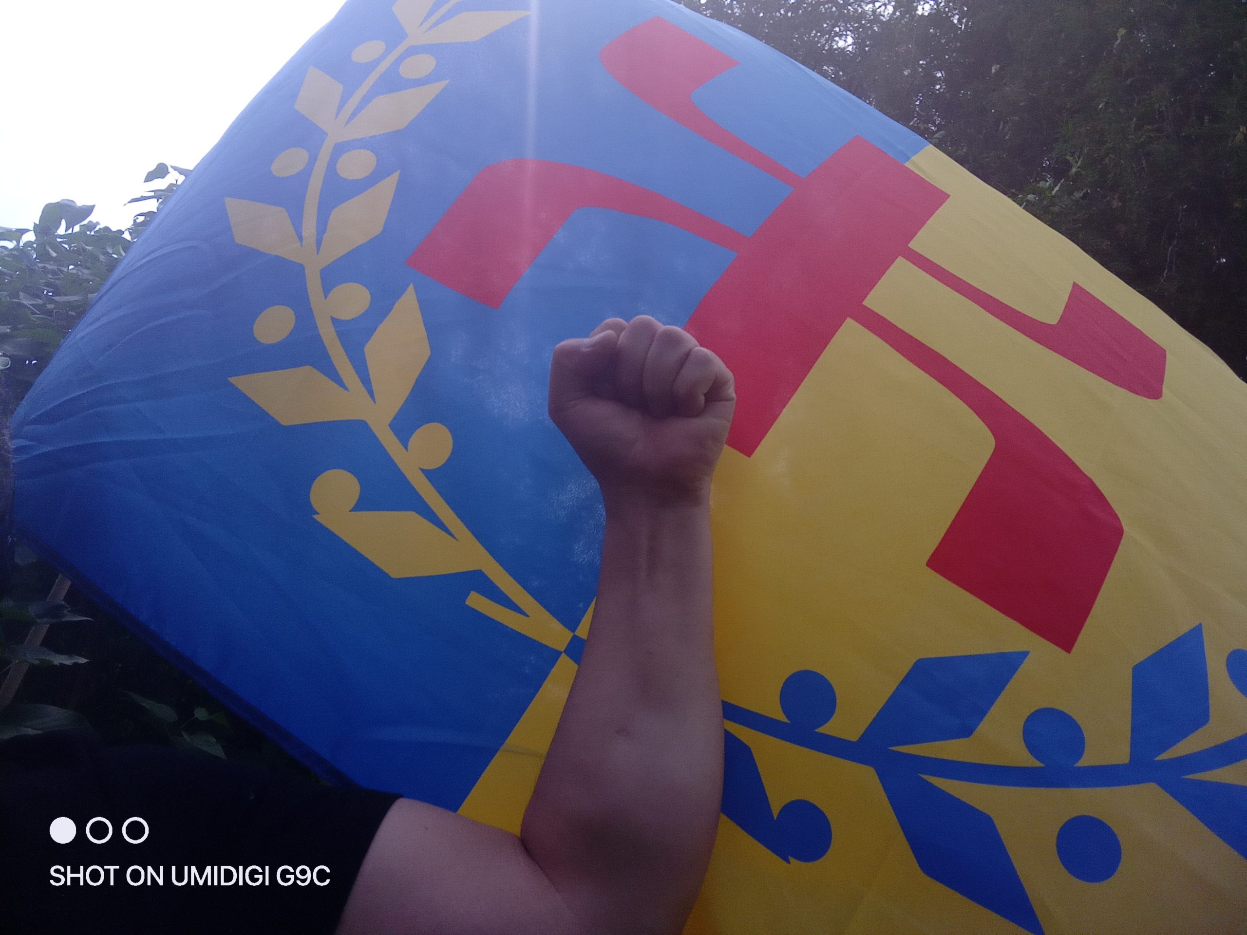 KABYLIE : LA MARCHE INÉLUCTABLE VERS LA LIBERTÉ