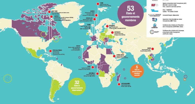 La lutte contre la francophonie au cœur de l’opération « zéro Kabyles » : anatomie d’une stratégie d’effacement