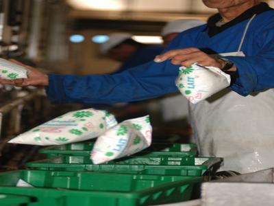 Tizi-Ouzou : les distributeurs de lait suspendent leur grève Tizi-Ouzou : les distributeurs de lait suspendent leur grève