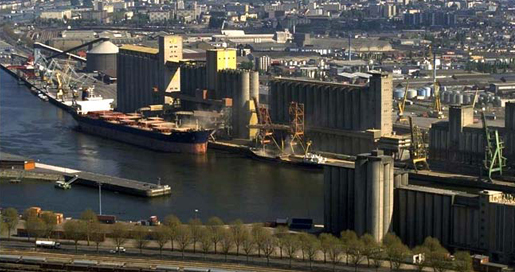 L'Algérie est le plus gros acheteur de céréales françaises L'Algérie est le plus gros acheteur de céréales françaises