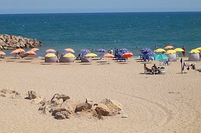 La redevance des concessions des plages ira aux communes (responsable) La redevance des concessions des plages ira aux communes (responsable)