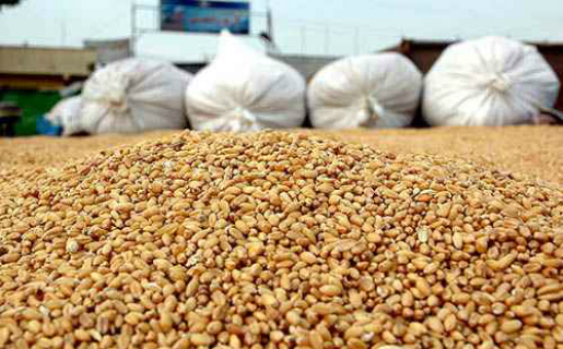 L'Algérie reprend l'importation de blé depuis le port de Rouen L'Algérie reprend l'importation de blé depuis le port de Rouen