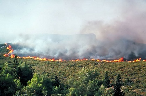 Marche à Aqvu contre les incendies : le MAK soutient le collectif populaire
