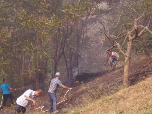 Incendies en Kabylie: les feux de forêts se poursuivent et ravagent plusieurs localités de Tizi-Uzu Incendies en Kabylie: les feux de forêts se poursuivent et ravagent plusieurs localités de Tizi-Uzu