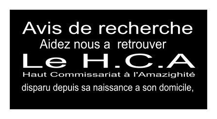 Les réponses du gouvernement algérien et du HCA sur la question de Tamazight au HCDH de Genève