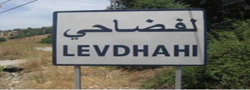 Contribution de Slimane Hallah : La Kabylie et sa langue Contribution de Slimane Hallah : La Kabylie et sa langue