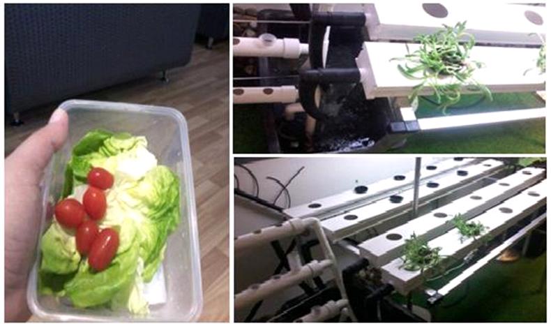 Contribution :  Contribution :