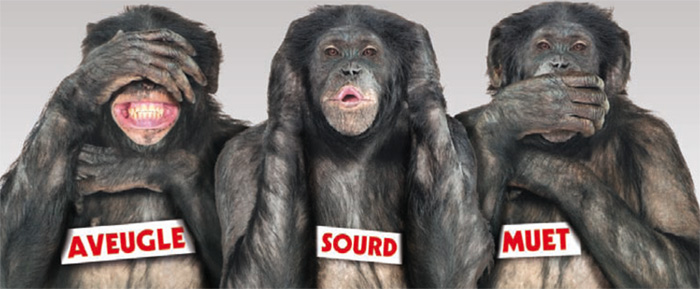 L'Honneur perdu des  L'Honneur perdu des