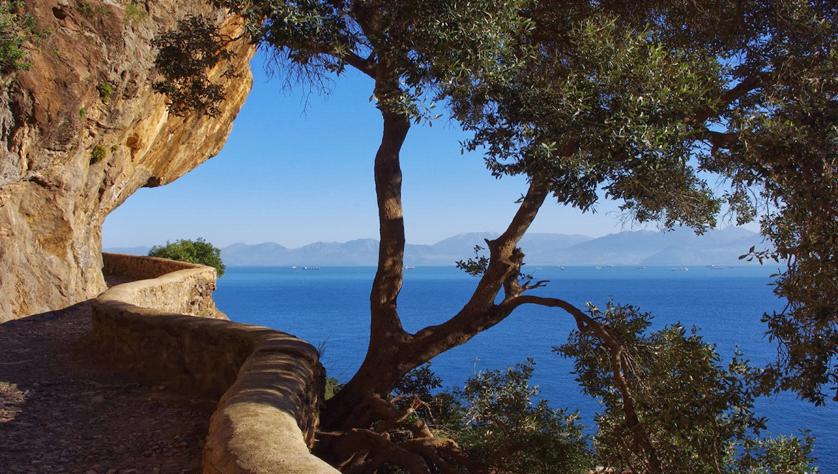 Vgayet, Cap Carbon: le plus haut phare naturel du monde se trouve en Kabylie Vgayet, Cap Carbon: le plus haut phare naturel du monde se trouve en Kabylie