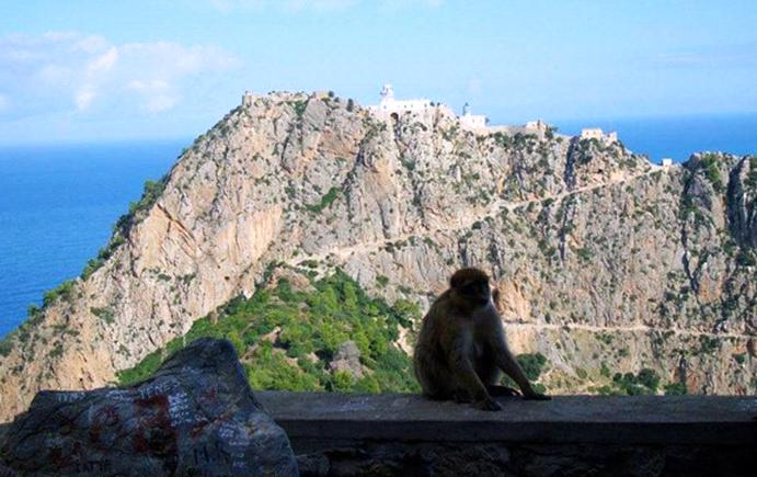 Vgayet, Cap Carbon: le plus haut phare naturel du monde se trouve en Kabylie Vgayet, Cap Carbon: le plus haut phare naturel du monde se trouve en Kabylie