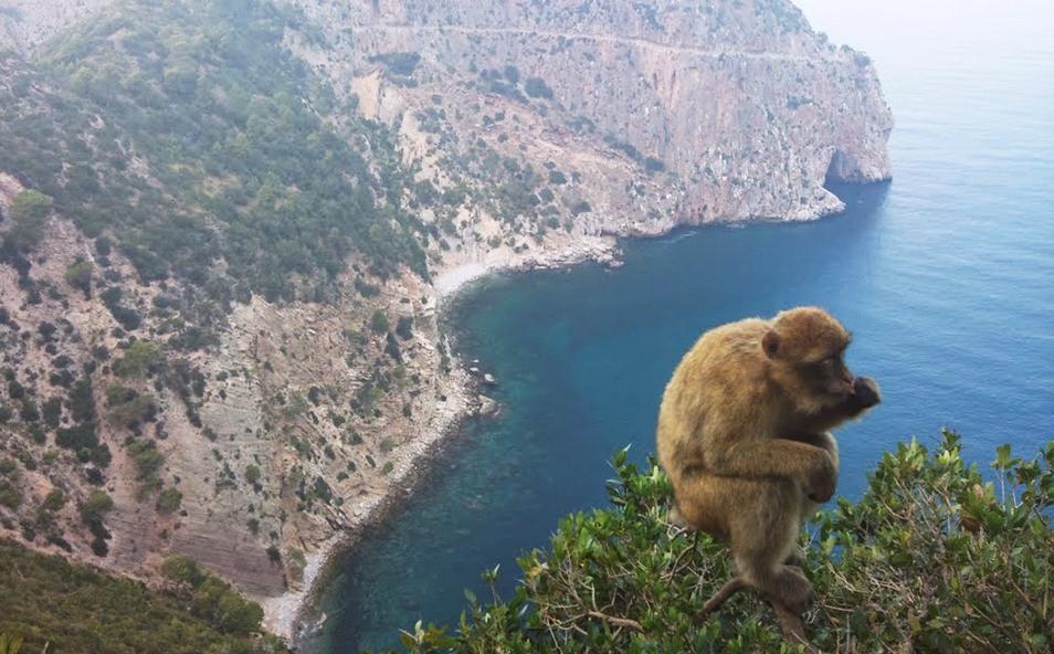 Vgayet, Cap Carbon: le plus haut phare naturel du monde se trouve en Kabylie Vgayet, Cap Carbon: le plus haut phare naturel du monde se trouve en Kabylie