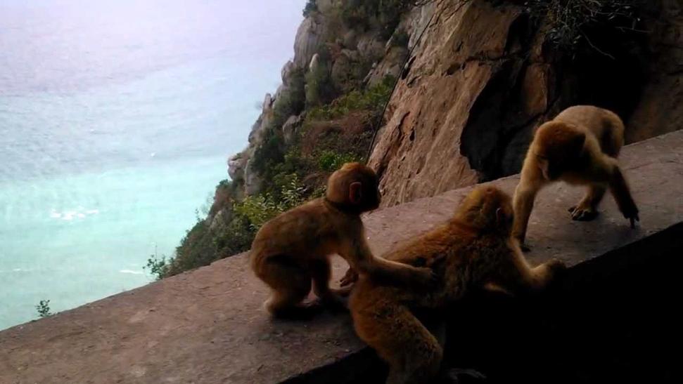 Vgayet, Cap Carbon: le plus haut phare naturel du monde se trouve en Kabylie Vgayet, Cap Carbon: le plus haut phare naturel du monde se trouve en Kabylie