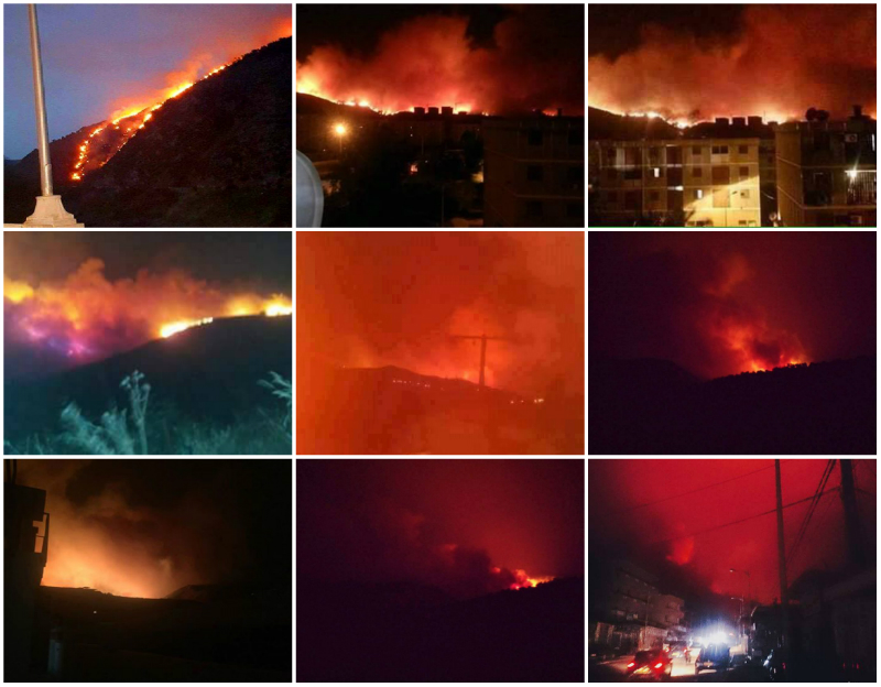 La Kabylie en feu : près de 60 incendies en 48 heures La Kabylie en feu : près de 60 incendies en 48 heures