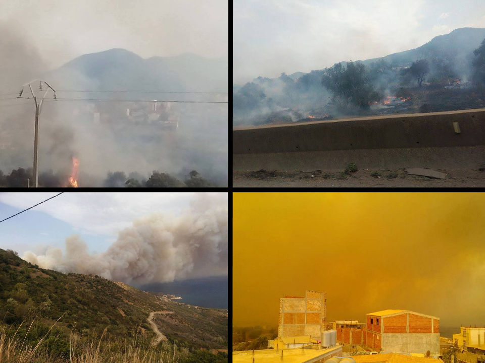 Alerte - Des dizaines d'incendies en cours à Vgayet : La ville est ceinturée par le feu (Actualisé)