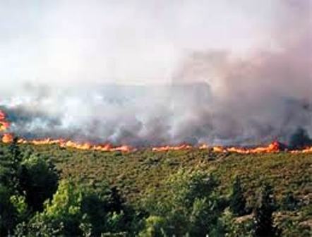 Béjaïa toujours encerclée par les flammes