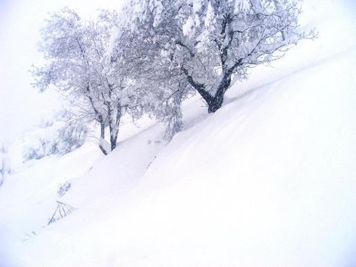 Météo : retour de la neige et de la pluie