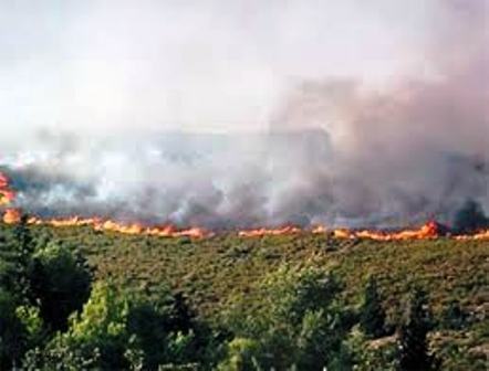 Algérie : plusieurs feux de forêt signalés aujourd'hui en Kabylie (papier d'angle)