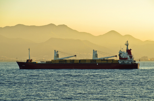 Son équipage est sans vivres depuis quelques jours : Un cargo slovène bloqué dans un port en Kabylie par les autorités algériennes