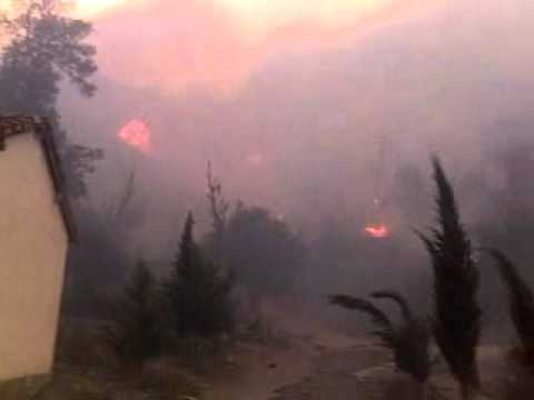 Week-end d'enfer à Vgayet : plus d'une trentaine de foyers d'incendies simultanés dans une dizaines de localités