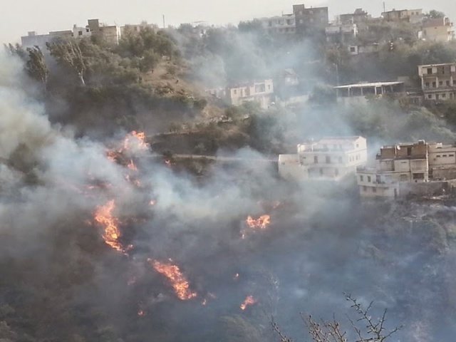 Week-end d'enfer à Vgayet : plus d'une trentaine de foyers d'incendies simultanés dans une dizaines de localités