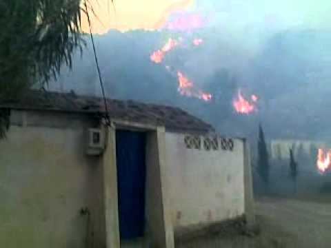 Week-end d'enfer à Vgayet : plus d'une trentaine de foyers d'incendies simultanés dans une dizaines de localités