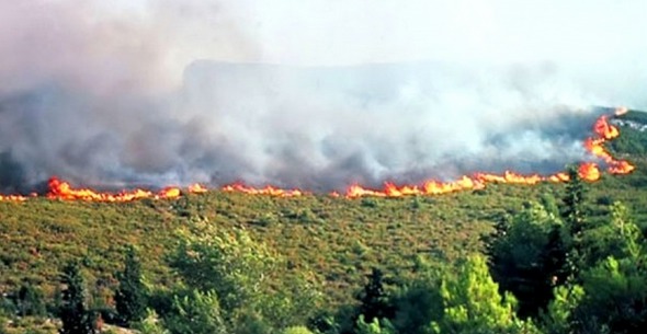 Week-end d'enfer à Vgayet : plus d'une trentaine de foyers d'incendies simultanés dans une dizaines de localités