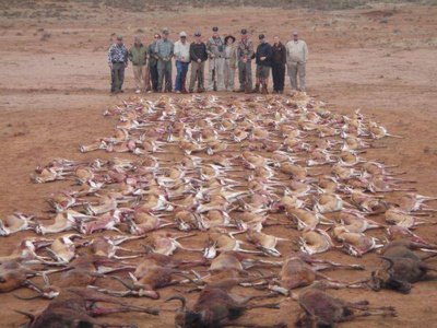 Algérie/ Les braconniers du Qatar sont de retour