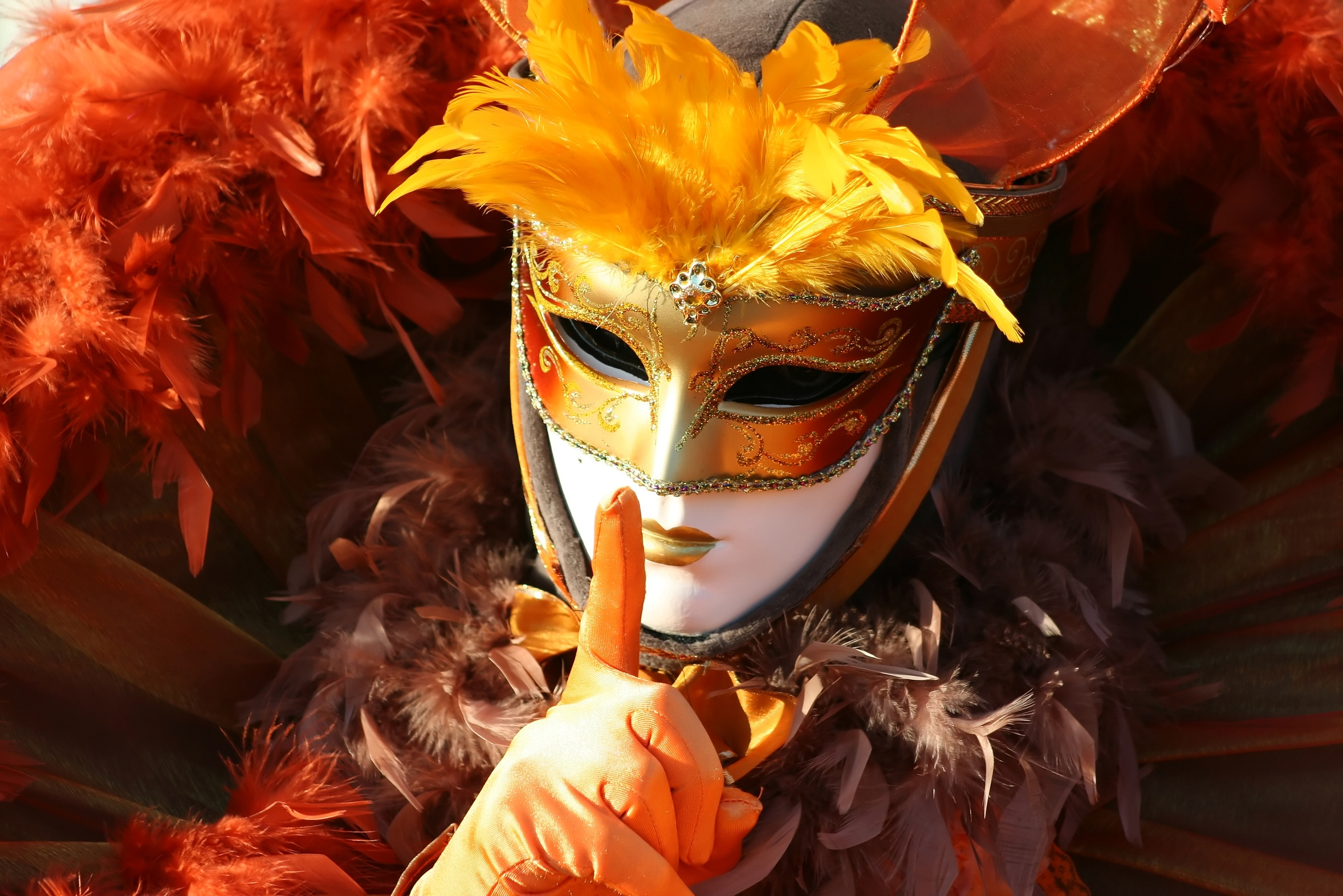 Coup d'envoi du plus célèbre carnaval du monde / Festival de couleur et merveilles à Venise