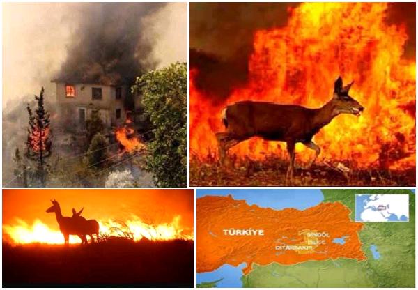 URGENT / Communiqué sur la situation au Kurdistan : La Turquie continue à commettre des crimes de guerre